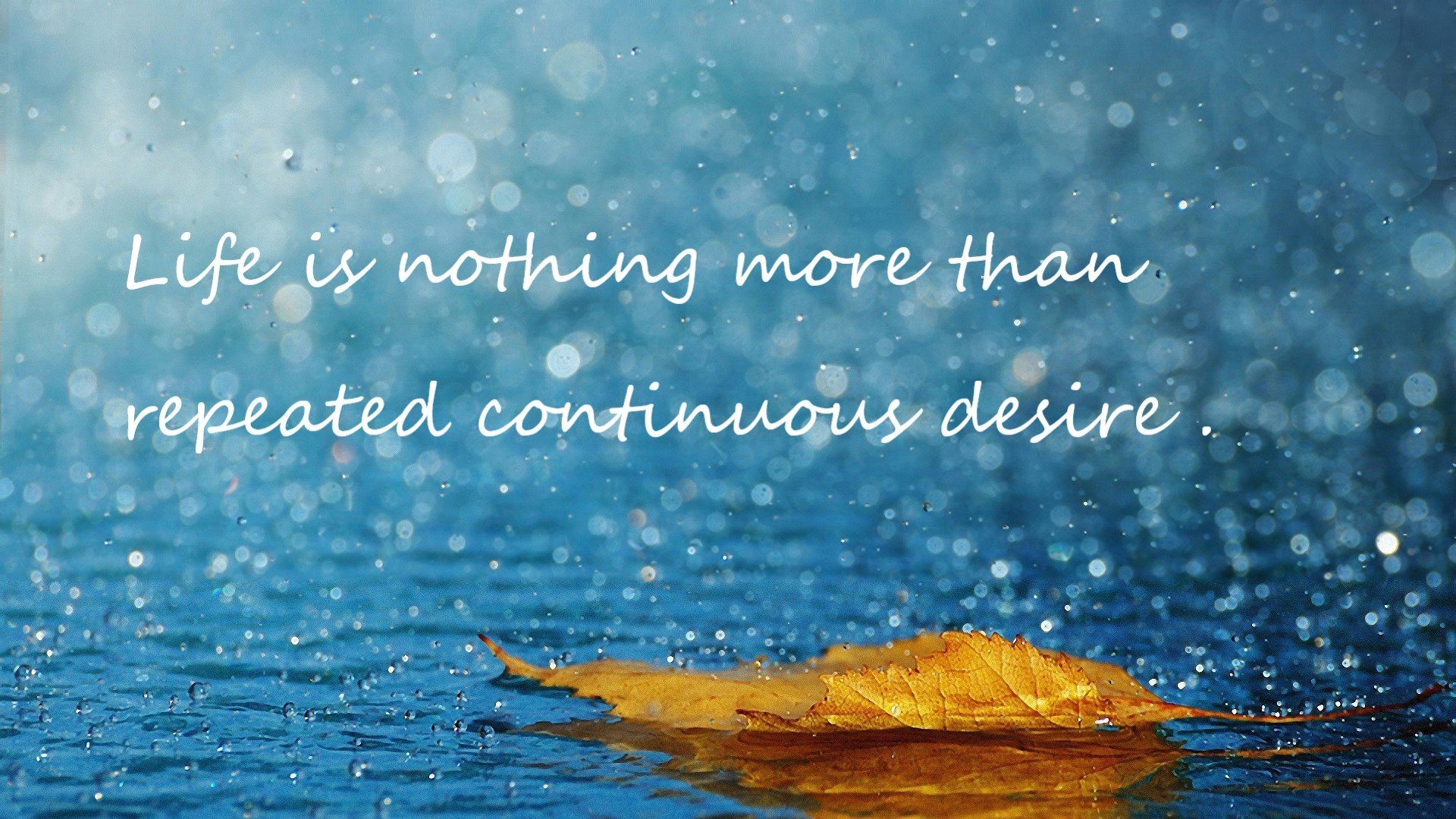 国王“高速快攻模式”命中率联盟最高，国王buff