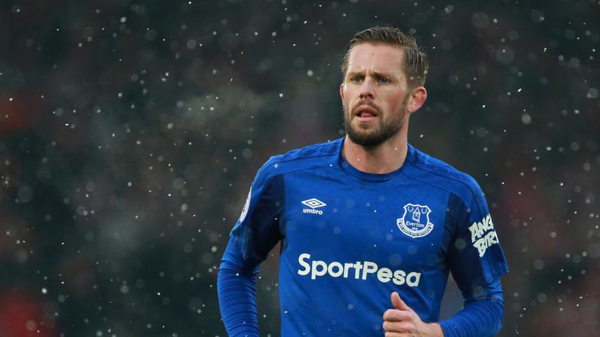 弗朗索瓦·斯图尔特:出色的进攻组织者,带领南非队稳步向前,弗朗索瓦莱特瑞尔