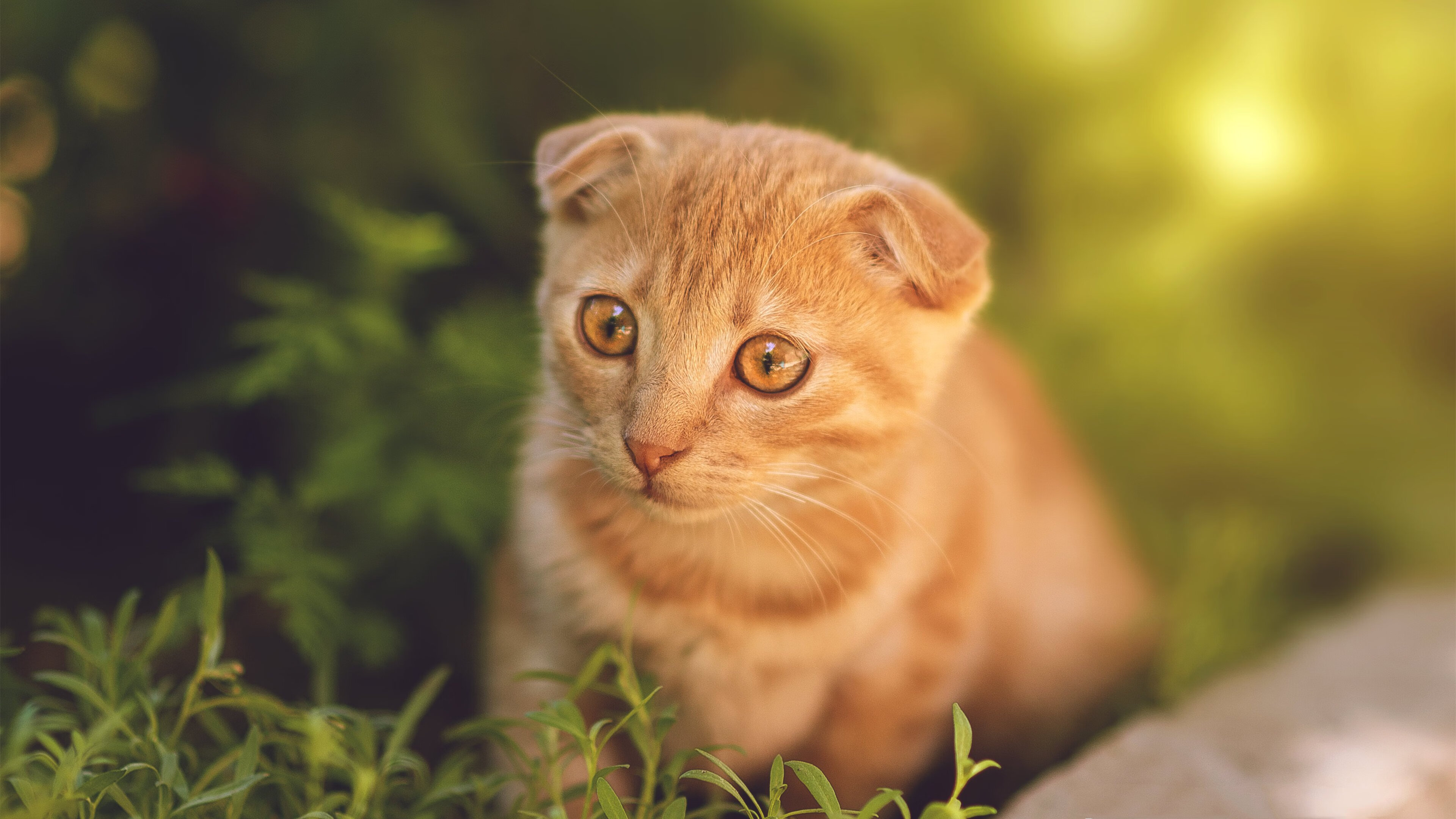 开云官网首页-GEO指数：哪支球队在欧冠中最具“硬实力”？，欧冠g组出线预测