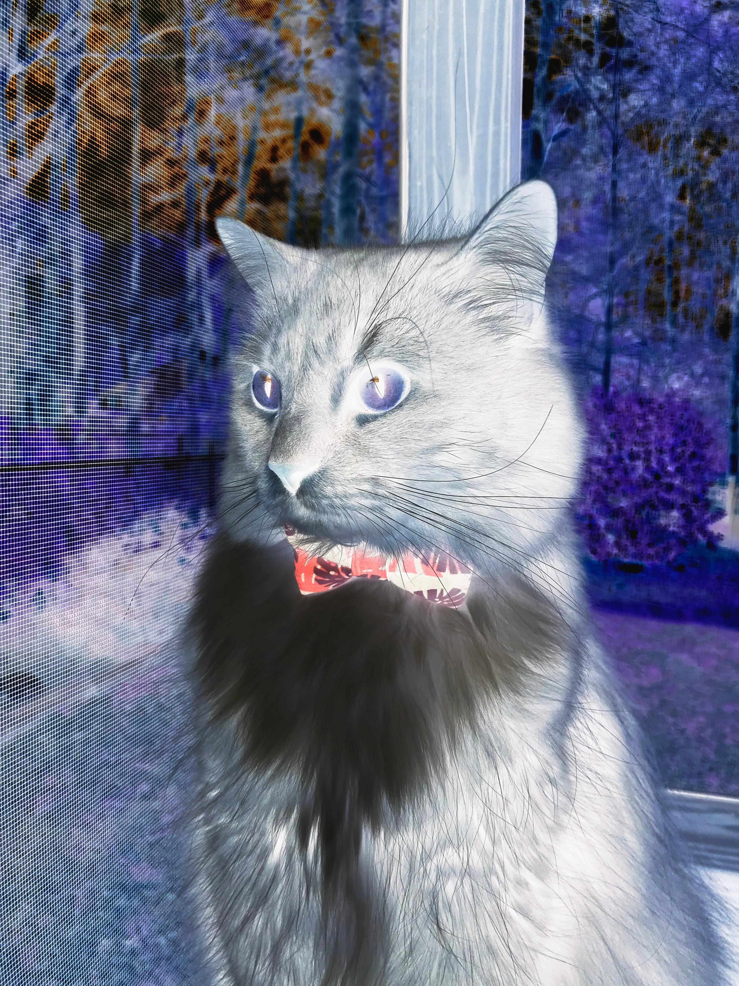 开云体育官网登入-_国际比赛中出现的趣闻趣事集锦_，趣味比赛名称